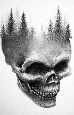 Вы изначально забрели не в тот лес