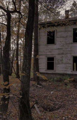 Летний лагерь 