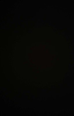 Уличный палочник.