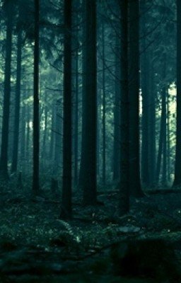 Темный Лес