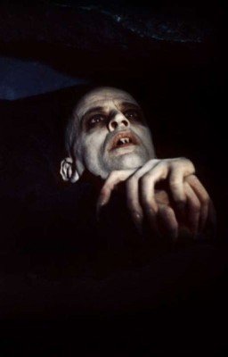 Сборник Страшных историй