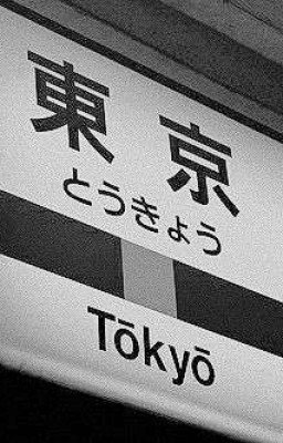 Братья, ужас, волейбол. 