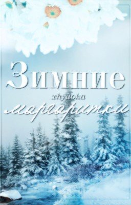 Зимние маргаритки