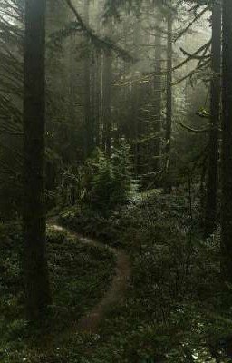 Велению Судьбы