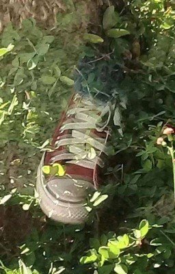 все будет хорошо