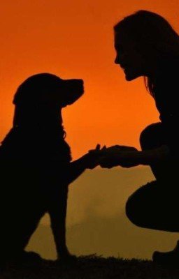 Щенок удачи