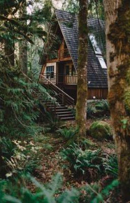 Заколдованный дом