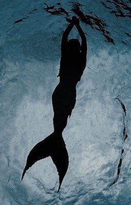 Верни меня в море