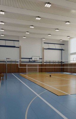 Волейбольная секция 