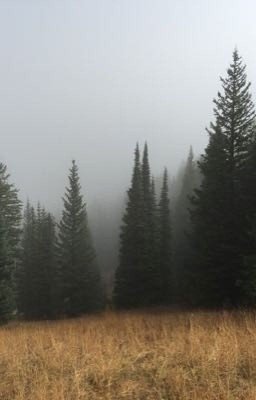 «Не могла , Но смогла»