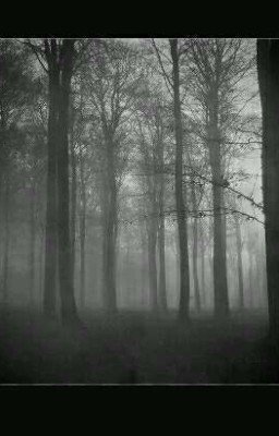 Встреча с ним...