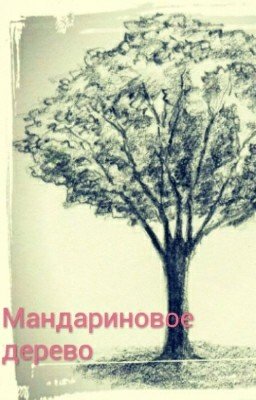 Мандариновое дерево