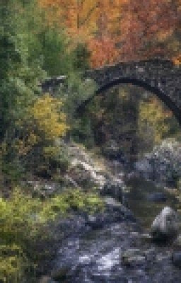 Крипипаста. Давний друг.