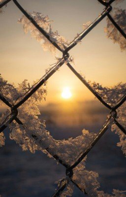 Кроваво-алый снег.