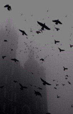 Больше чем ненависть