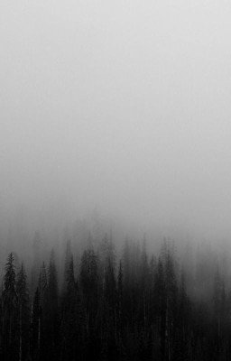 Туман. Маршрутка