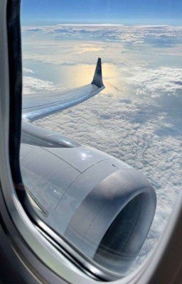 Тёмный друг