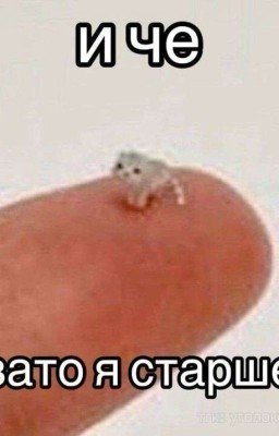 Ты можешь прийти ко мне домой... {Венера/Меркурий} 