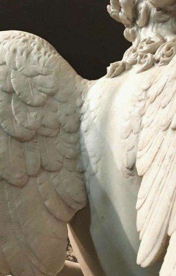 В смерти прошу винить моего ангела - хранителя 