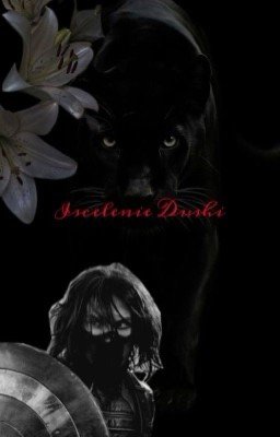 Осколки души 