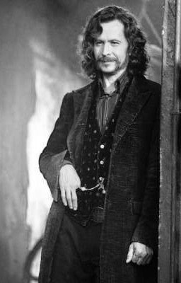 Аристократка (продожение) 