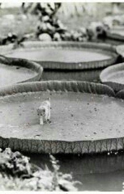 ~Дом-наоборот~