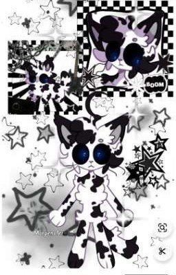 Разноцветные коты: История перед победой