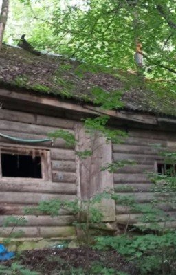 Дом с запахом смерти