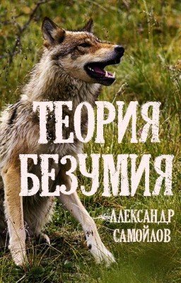 Теория безумия