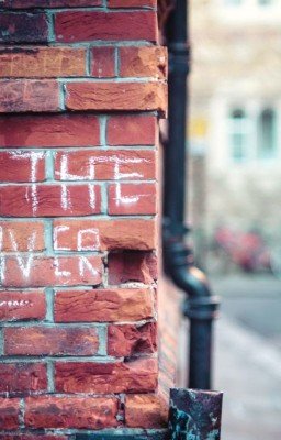 Аквариумная рыбка