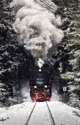 Знакомьтесь, Поэт.