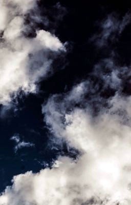 Без заглавия