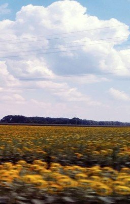 Сказ о Солнце и Небе