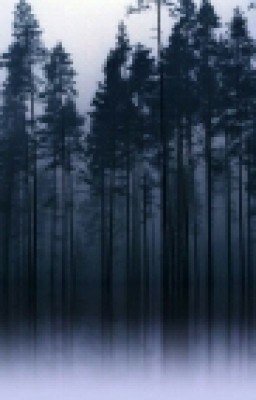 Малиновое вино