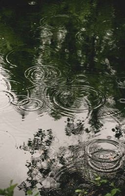 Когда падет последний лепесток