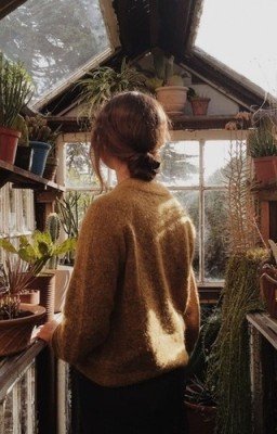 Яблочные дольки