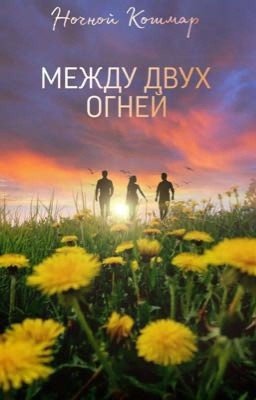 Между двух огней