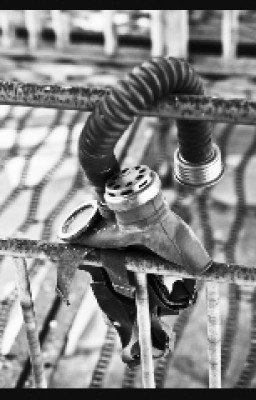 Чернобыльская Атомная Электро станция(ЧАЭС)