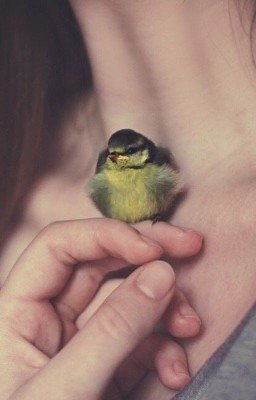 О самом главном