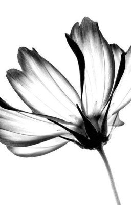 Названия для фанфиков.