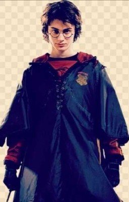 Придирчивый Поттер