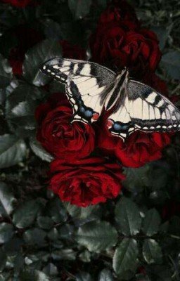 "ЛЮБОВЬ КРОВИ"