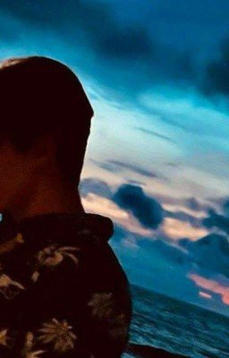 Т/И, XDanyl и НП. 