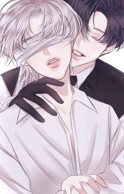 котёнок и лев(хенликсы)