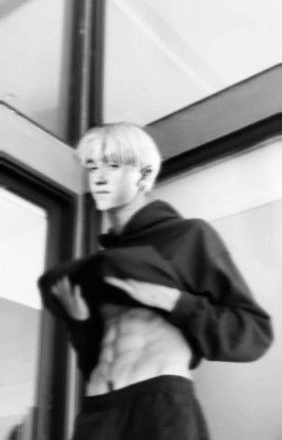 Мисс Малфой 