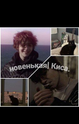 новенькая? | Киса