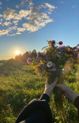 Поезд в лето. Пиковару