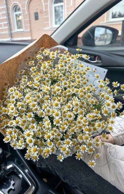 все для написания фанфиков