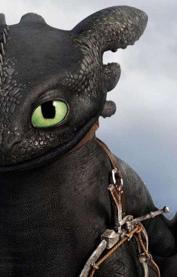 Другая история "Как приручить дракона"