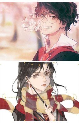 °моя Влюблённая Дурочка° |Теодор Нотт|